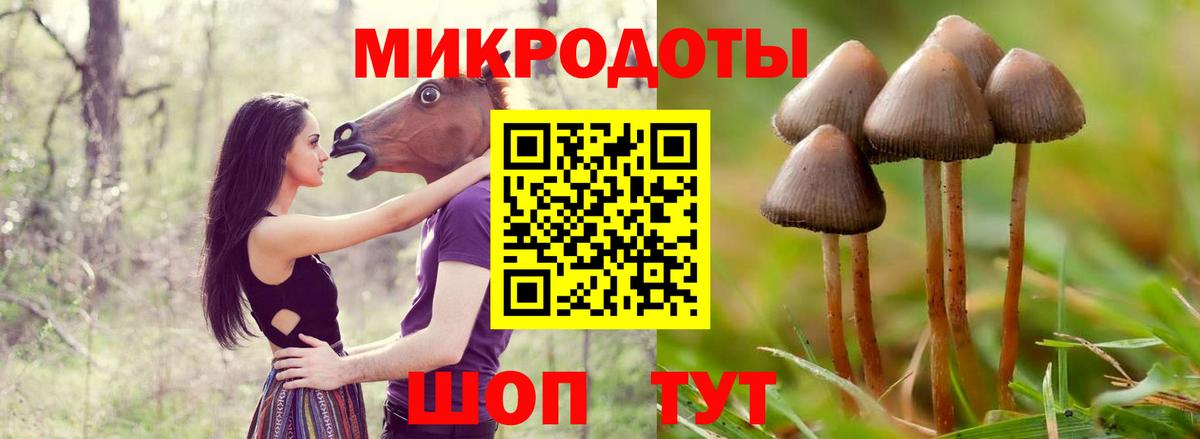 Галлюциногенные грибы мицелий  Галлюциногенные грибы Magic Shrooms  Вход с VPN  Всеволожск 
